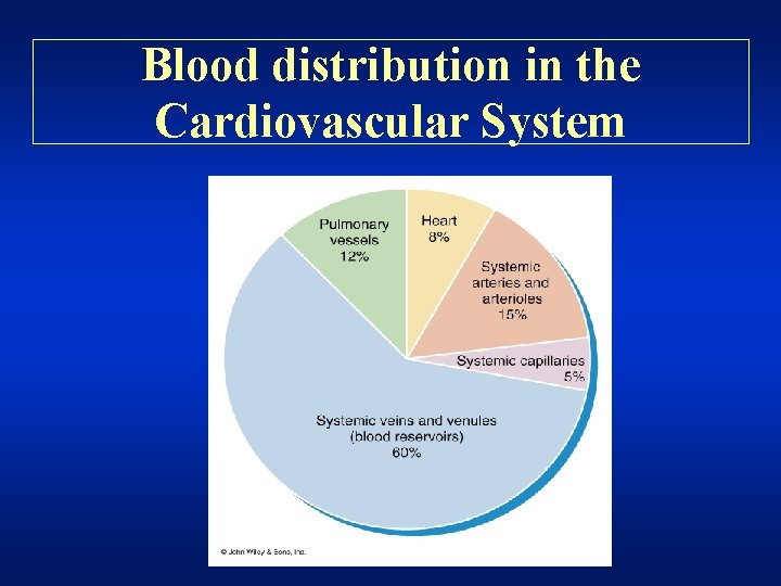 Blood distribution in the Cardiovascular System 