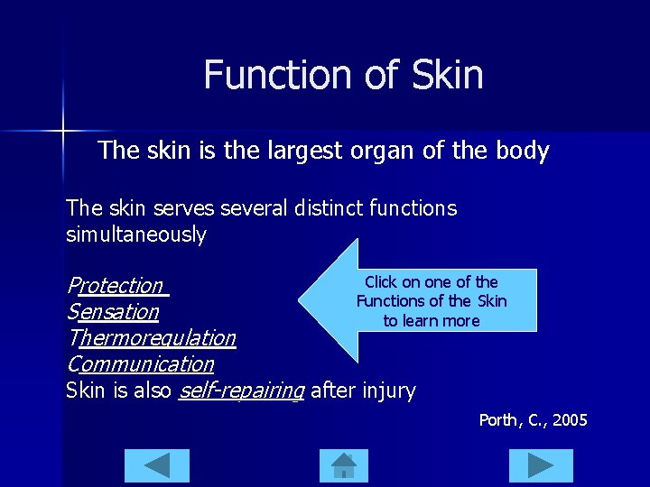 Function of Skin The skin is the largest organ of the body The skin