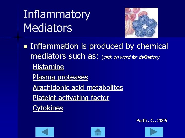 Inflammatory Mediators n Inflammation is produced by chemical mediators such as: (click on word