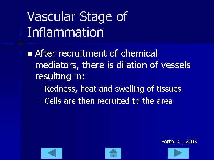 Vascular Stage of Inflammation n After recruitment of chemical mediators, there is dilation of