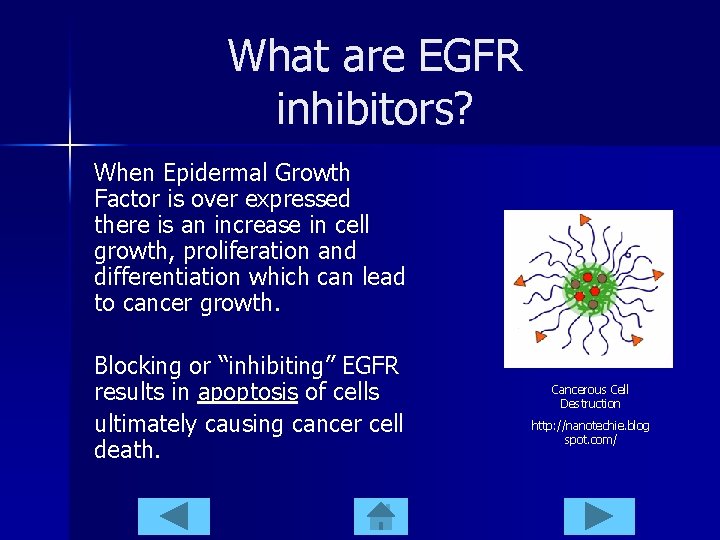 What are EGFR inhibitors? When Epidermal Growth Factor is over expressed there is an