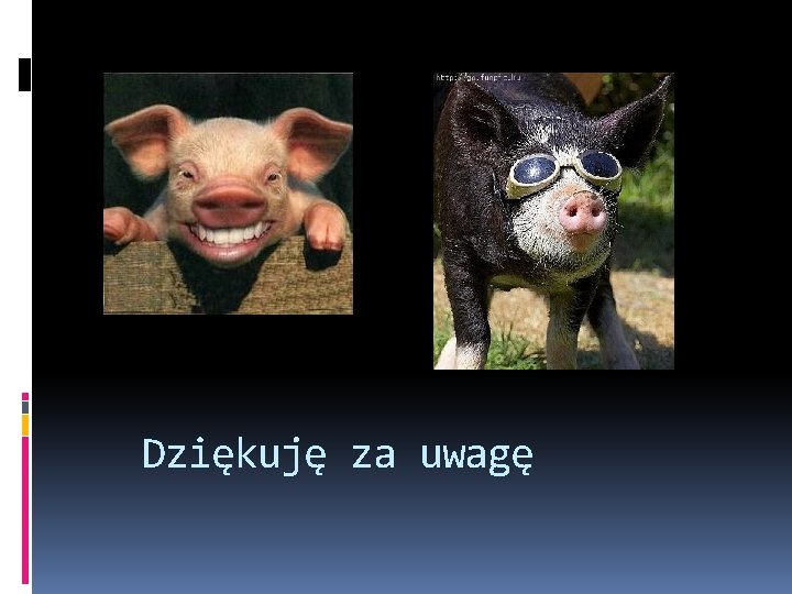 Dziękuję za uwagę 