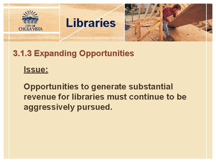 Libraries 3. 1. 3 Expanding Opportunities Issue: Opportunities to generate substantial revenue for libraries