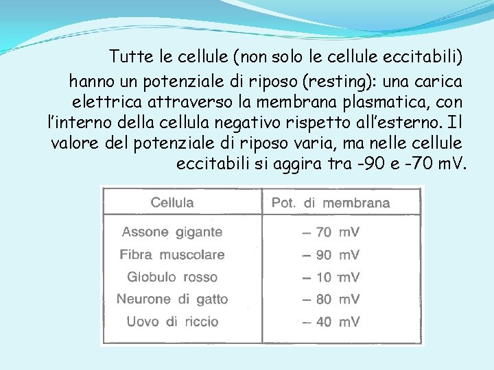 Tutte le cellule (non solo le cellule eccitabili) hanno un potenziale di riposo (resting):