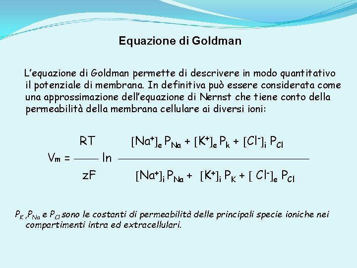 Equazione di Goldman L’equazione di Goldman permette di descrivere in modo quantitativo il potenziale