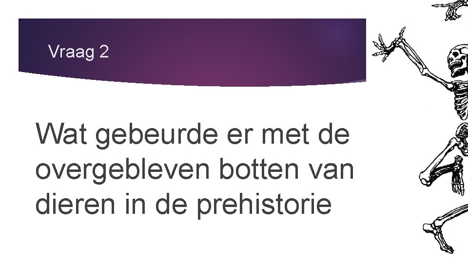 Vraag 2 Wat gebeurde er met de overgebleven botten van dieren in de prehistorie