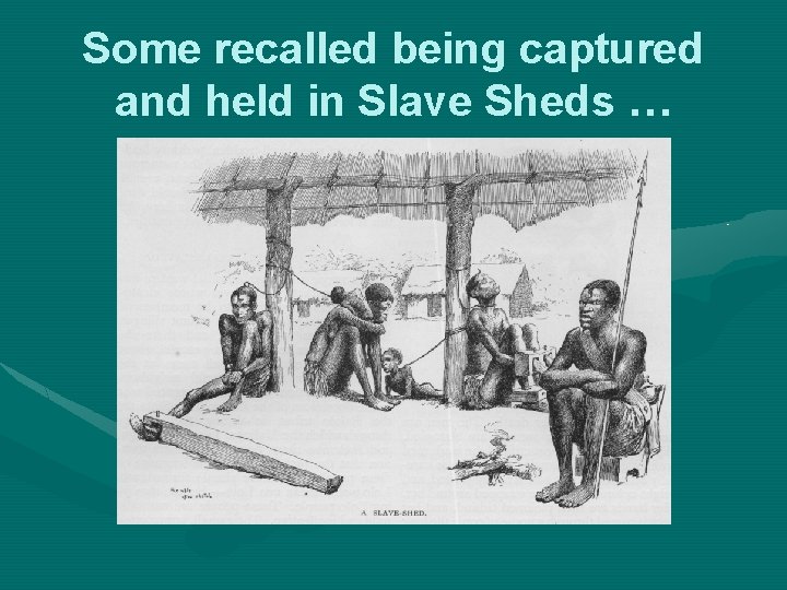 Some recalled being captured and held in Slave Sheds … 
