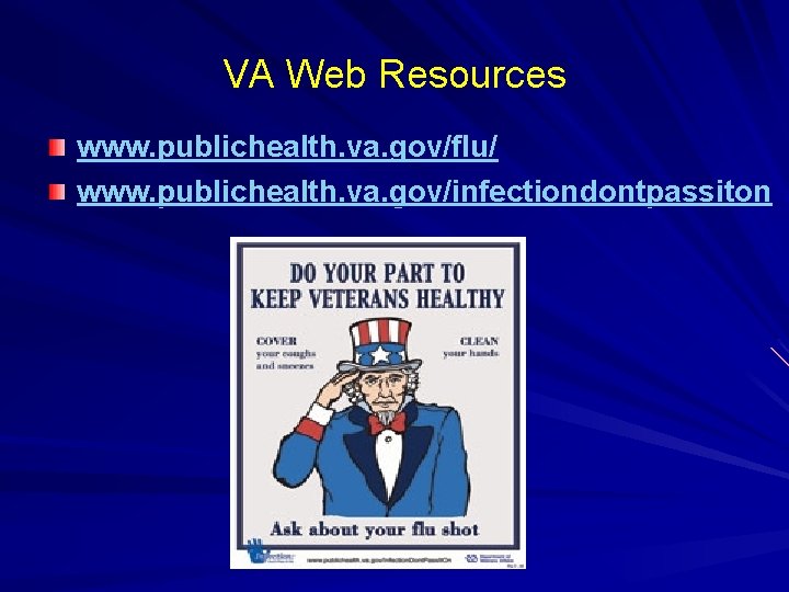 VA Web Resources www. publichealth. va. gov/flu/ www. publichealth. va. gov/infectiondontpassiton 