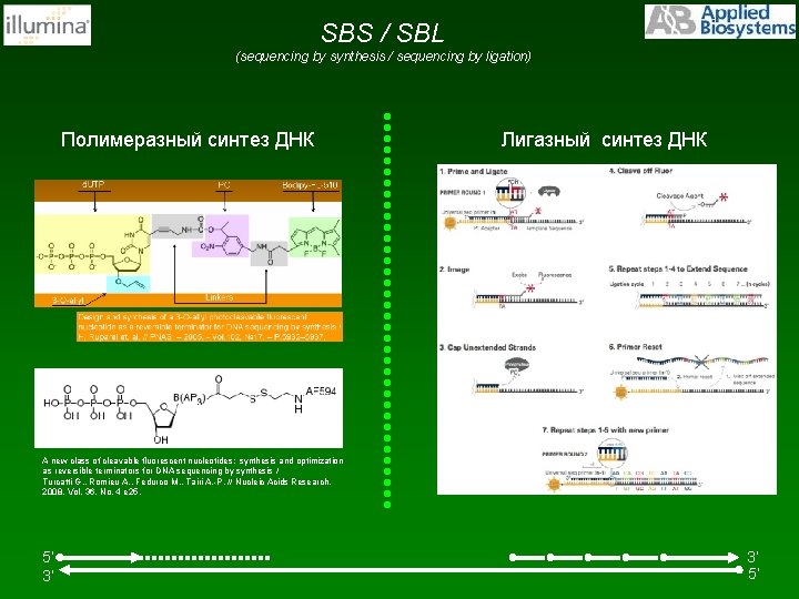 SBS / SBL (sequencing by synthesis / sequencing by ligation) Полимеразный синтез ДНК Лигазный