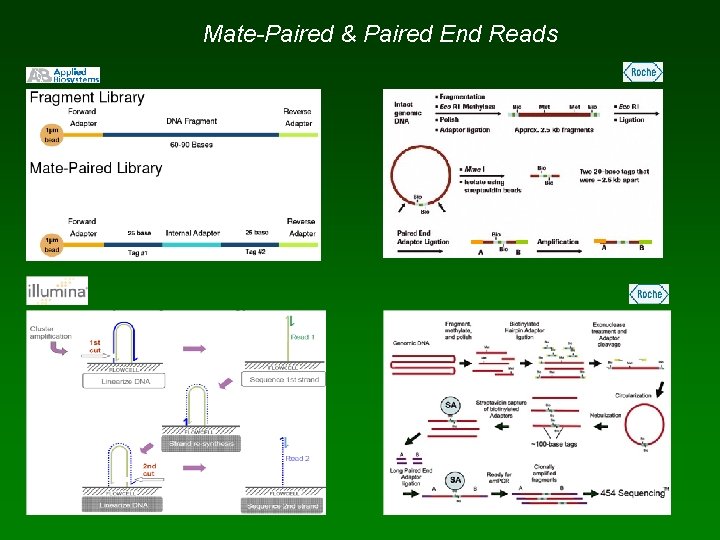 Mate-Paired & Paired End Reads 