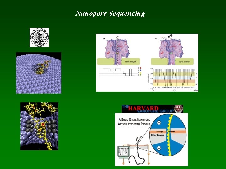 Nanopore Sequencing 