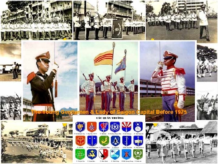 To Serve & Die for Father Country, The Young Gentlemen & Lady of. Liability