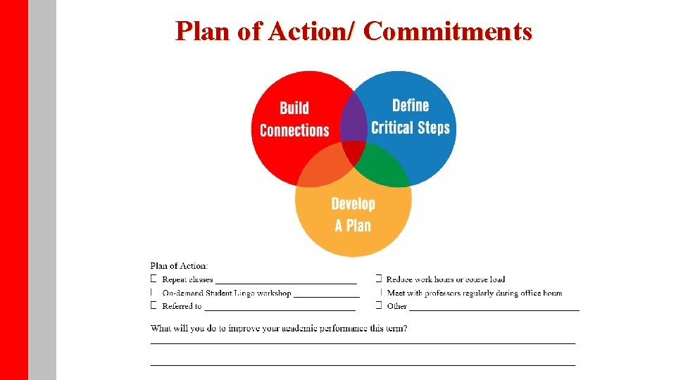 Plan of Action/ Commitments 