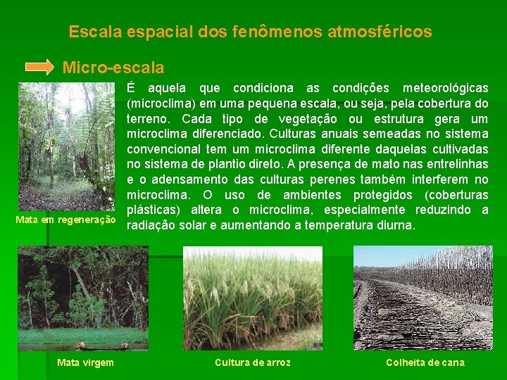 Escala espacial dos fenômenos atmosféricos Micro-escala Mata em regeneração Mata virgem É aquela que