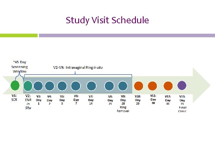 Study Visit Schedule 