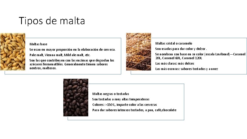 Tipos de malta Maltas base Se usan en mayor proporción en la elaboración de Tipos de malta Maltas base Se usan en mayor proporción en la elaboración de