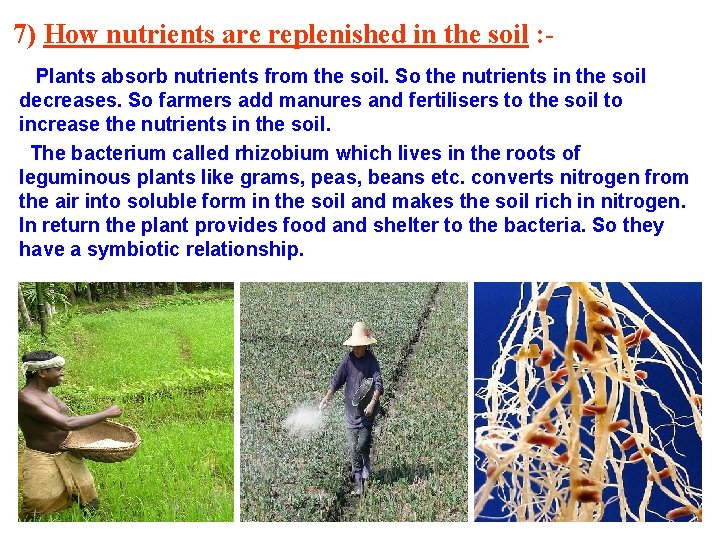 7) How nutrients are replenished in the soil : Plants absorb nutrients from the 7) How nutrients are replenished in the soil : Plants absorb nutrients from the