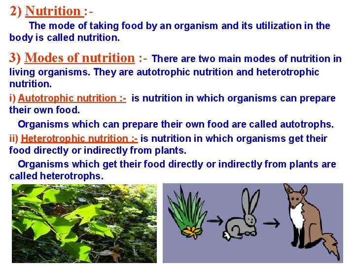 2) Nutrition : The mode of taking food by an organism and its utilization 2) Nutrition : The mode of taking food by an organism and its utilization