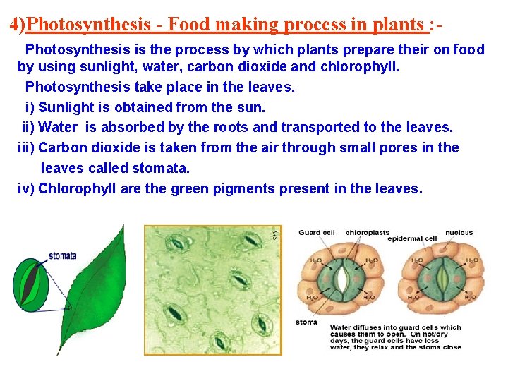 4)Photosynthesis - Food making process in plants : Photosynthesis is the process by which 4)Photosynthesis - Food making process in plants : Photosynthesis is the process by which