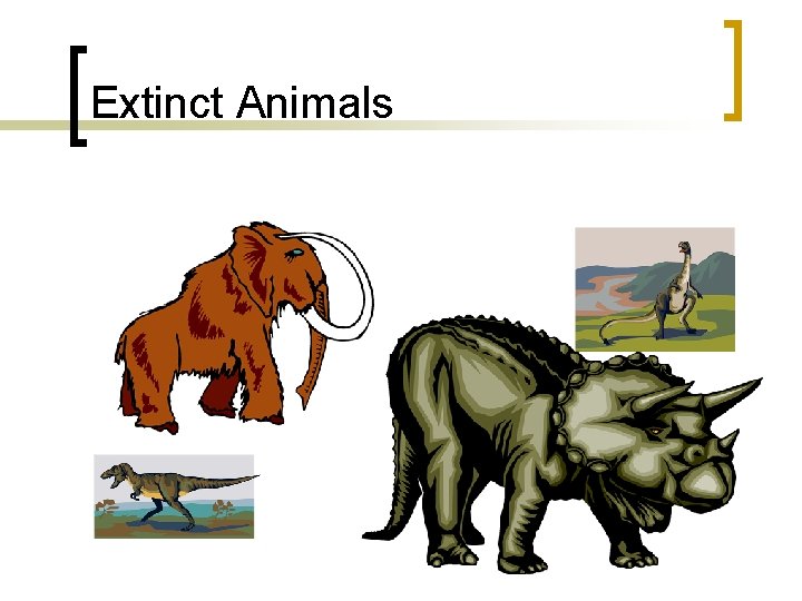 Extinct Animals 