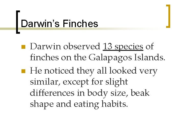 Darwin’s Finches n n Darwin observed 13 species of finches on the Galapagos Islands.