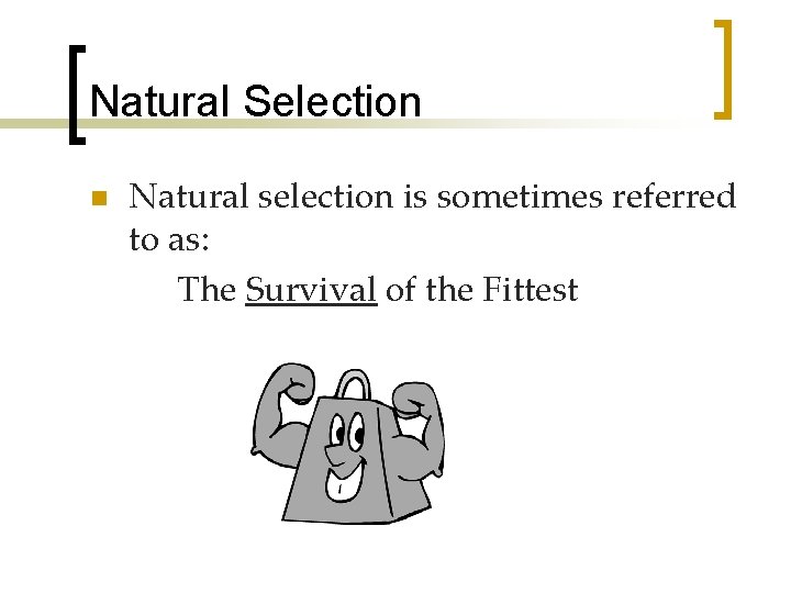 Natural Selection n Natural selection is sometimes referred to as: The Survival of the