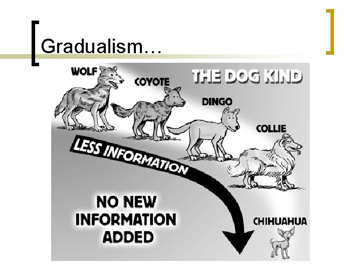 Gradualism… 