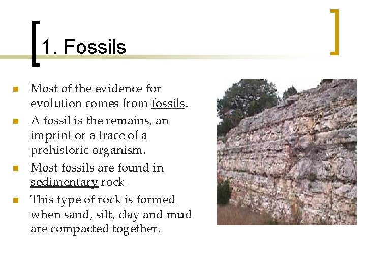 1. Fossils n n Most of the evidence for evolution comes from fossils. A