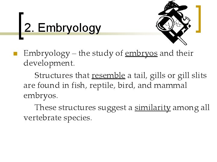2. Embryology n Embryology – the study of embryos and their development. Structures that
