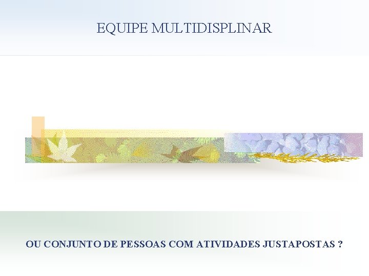 EQUIPE MULTIDISPLINAR OU CONJUNTO DE PESSOAS COM ATIVIDADES JUSTAPOSTAS ? 