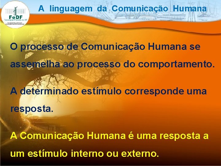 A linguagem da Comunicação Humana O processo de Comunicação Humana se assemelha ao processo