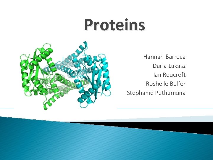 Proteins Hannah Barreca Daria Lukasz Ian Reucroft Roshelle Belfer Stephanie Puthumana 