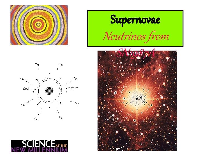 Supernovae Neutrinos from SN 1987 A 
