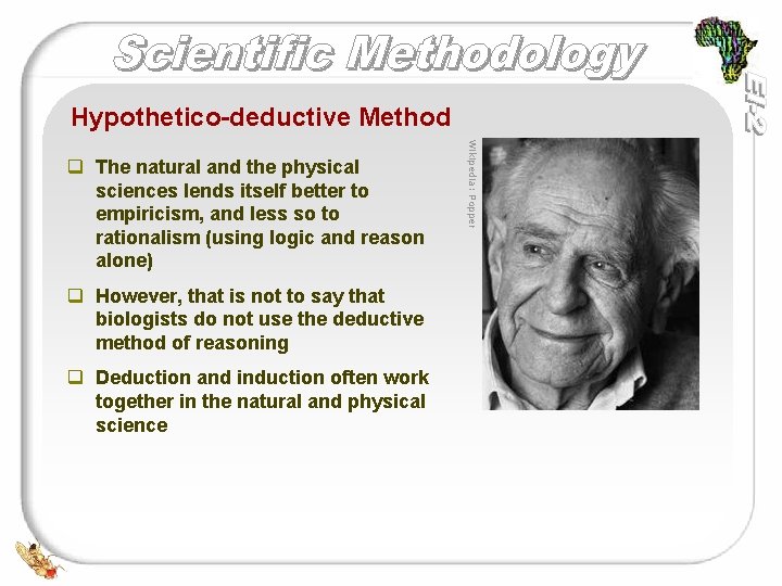 Hypothetico-deductive Method q However, that is not to say that biologists do not use