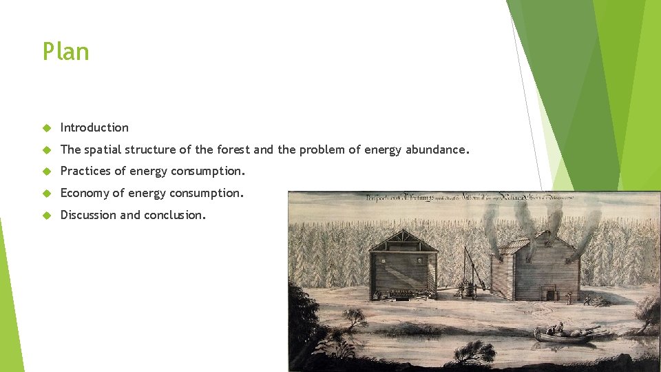 Plan Introduction The spatial structure of the forest and the problem of energy abundance.