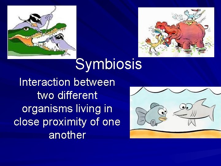 Symbiosis Interaction between two different organisms living in close proximity of one another 