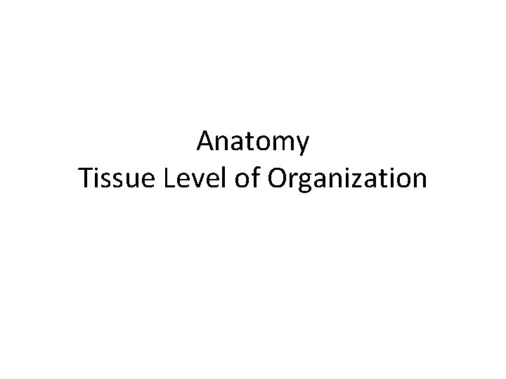 Anatomy Tissue Level of Organization 