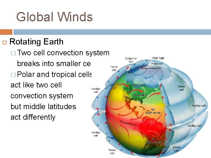 Global Winds Rotating Earth � Two cell convection system breaks into smaller cells �