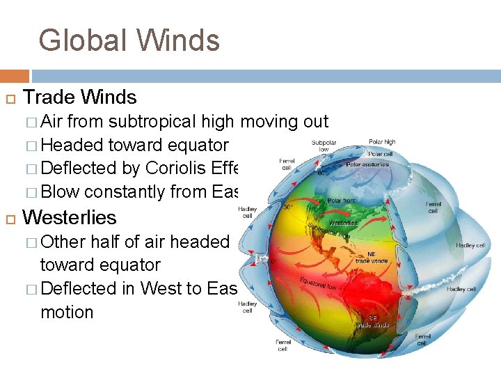 Global Winds Trade Winds � Air from subtropical high moving out � Headed toward