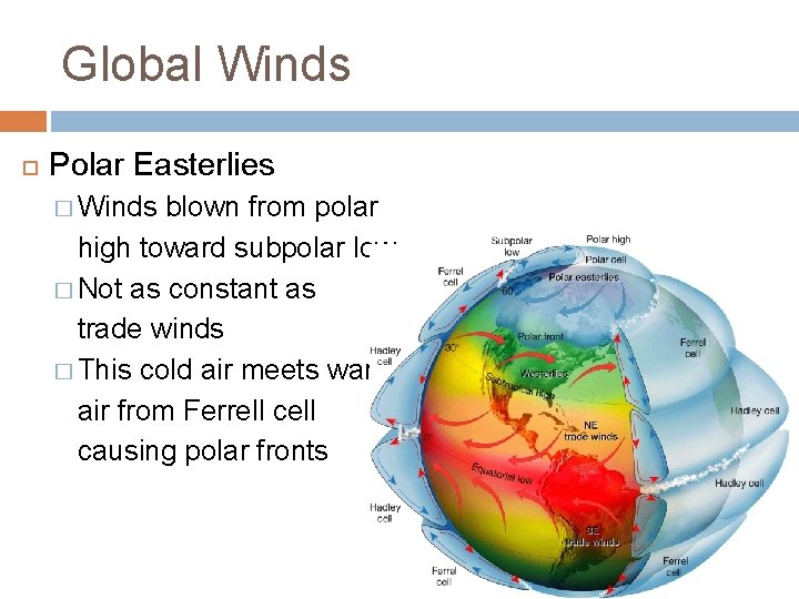 Global Winds Polar Easterlies � Winds blown from polar high toward subpolar low �