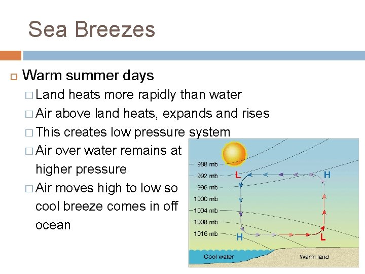 Sea Breezes Warm summer days � Land heats more rapidly than water � Air