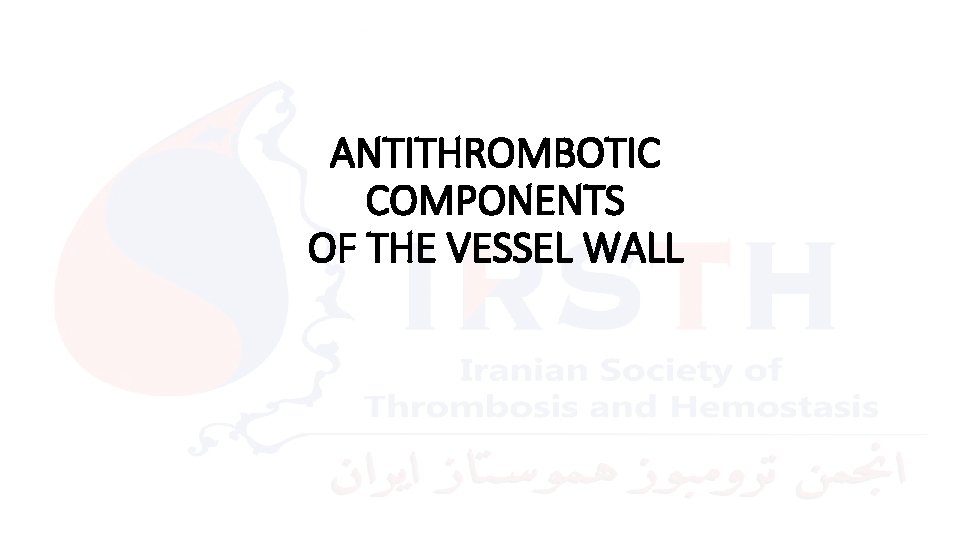 ANTITHROMBOTIC COMPONENTS OF THE VESSEL WALL 