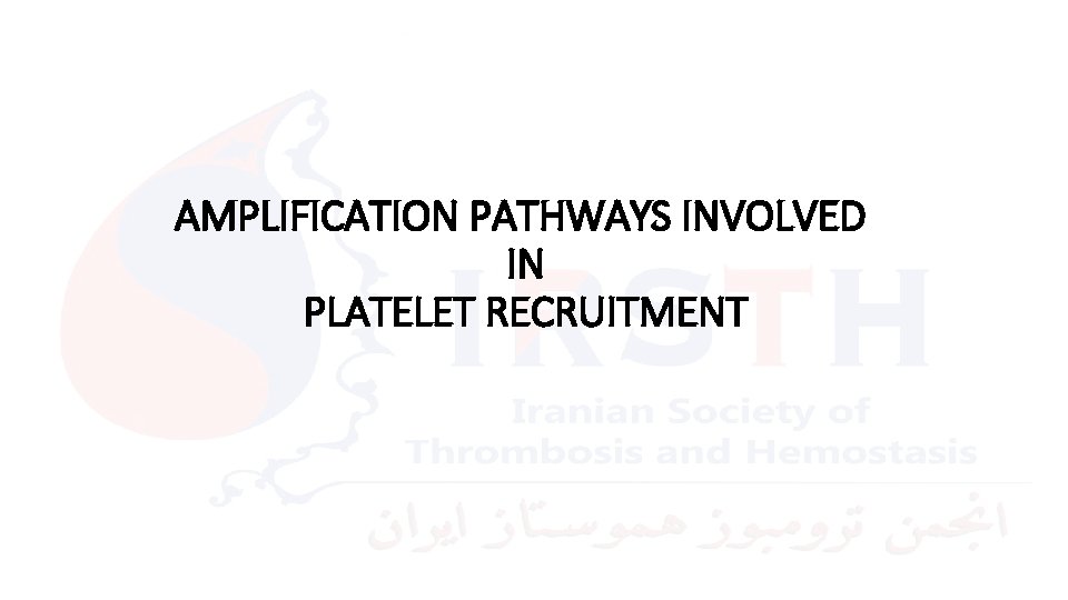 AMPLIFICATION PATHWAYS INVOLVED IN PLATELET RECRUITMENT 