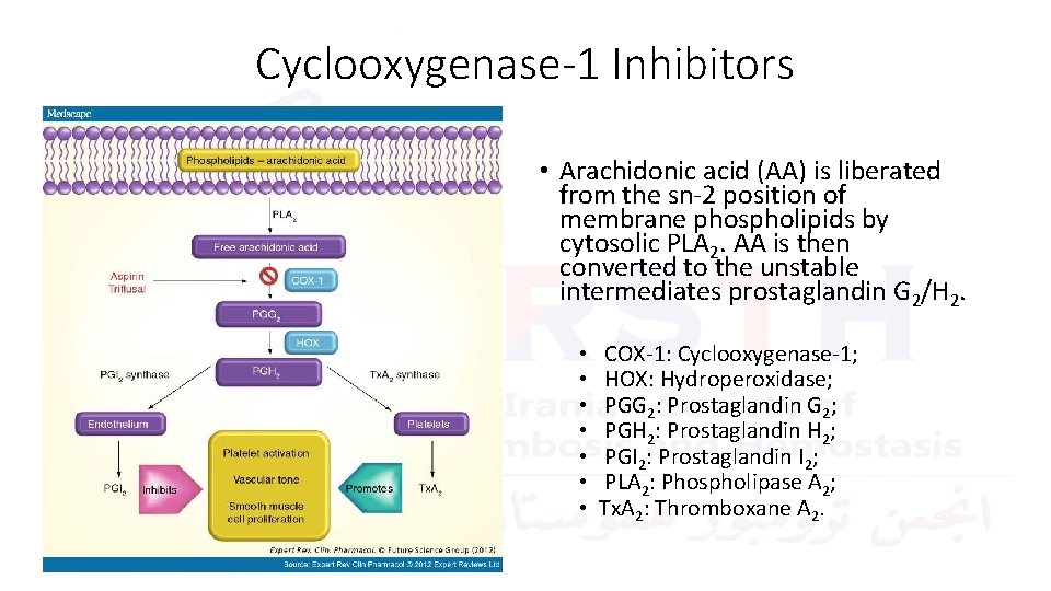 Cyclooxygenase-1 Inhibitors • Arachidonic acid (AA) is liberated from the sn-2 position of membrane
