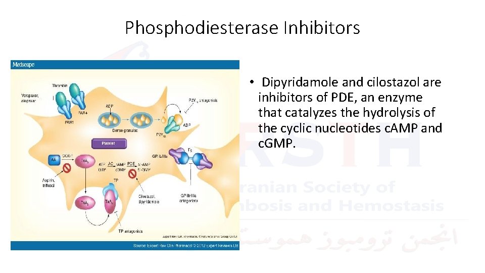 Phosphodiesterase Inhibitors • Dipyridamole and cilostazol are inhibitors of PDE, an enzyme that catalyzes