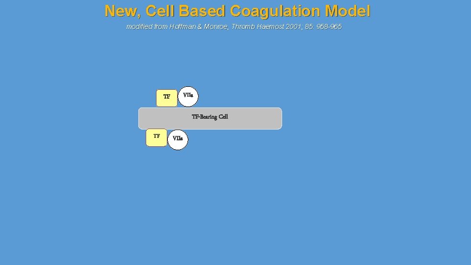 New, Cell Based Coagulation Model modified from Hoffman & Monroe, Thromb Haemost 2001; 85: