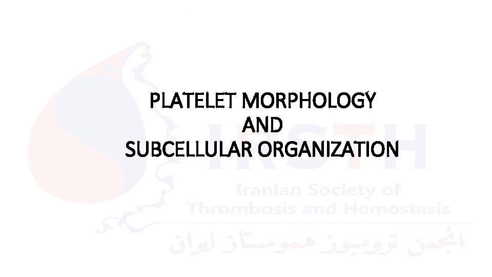 PLATELET MORPHOLOGY AND SUBCELLULAR ORGANIZATION 