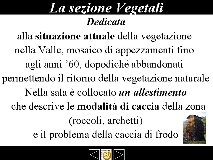 La sezione Vegetali Dedicata alla situazione attuale della vegetazione nella Valle, mosaico di appezzamenti La sezione Vegetali Dedicata alla situazione attuale della vegetazione nella Valle, mosaico di appezzamenti
