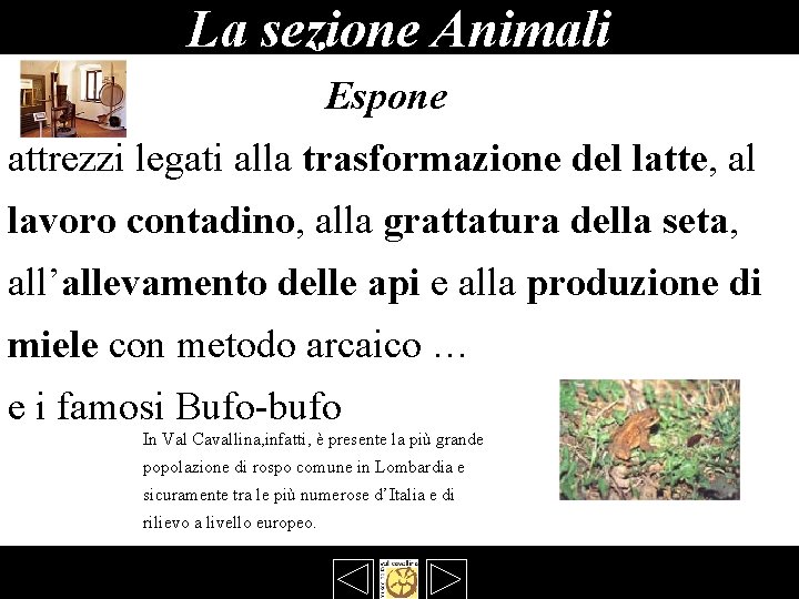 La sezione Animali Espone attrezzi legati alla trasformazione del latte, al lavoro contadino, alla La sezione Animali Espone attrezzi legati alla trasformazione del latte, al lavoro contadino, alla