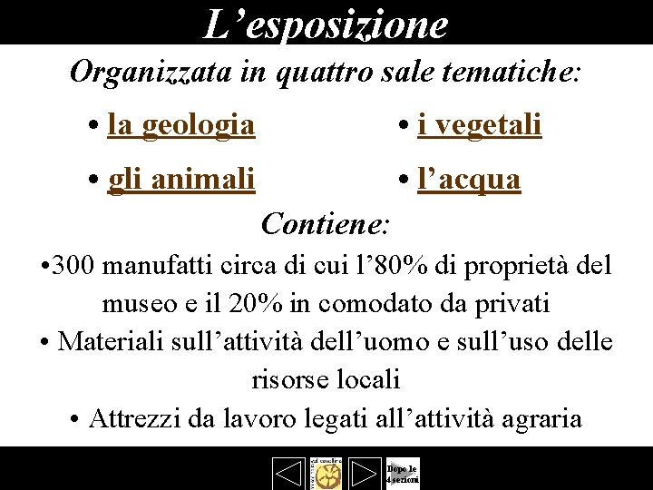 L’esposizione Organizzata in quattro sale tematiche: • la geologia • i vegetali • gli L’esposizione Organizzata in quattro sale tematiche: • la geologia • i vegetali • gli